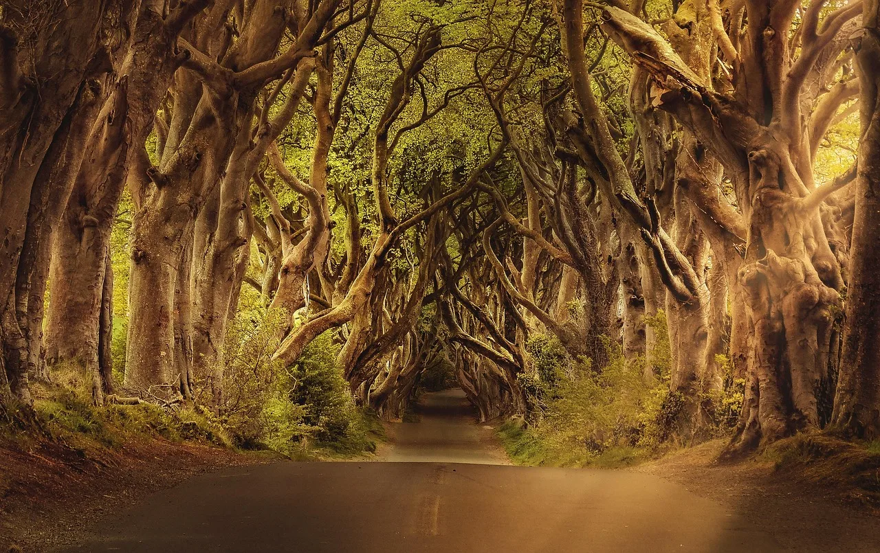 Ireland