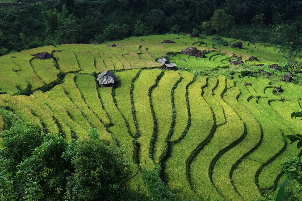 Vietnam