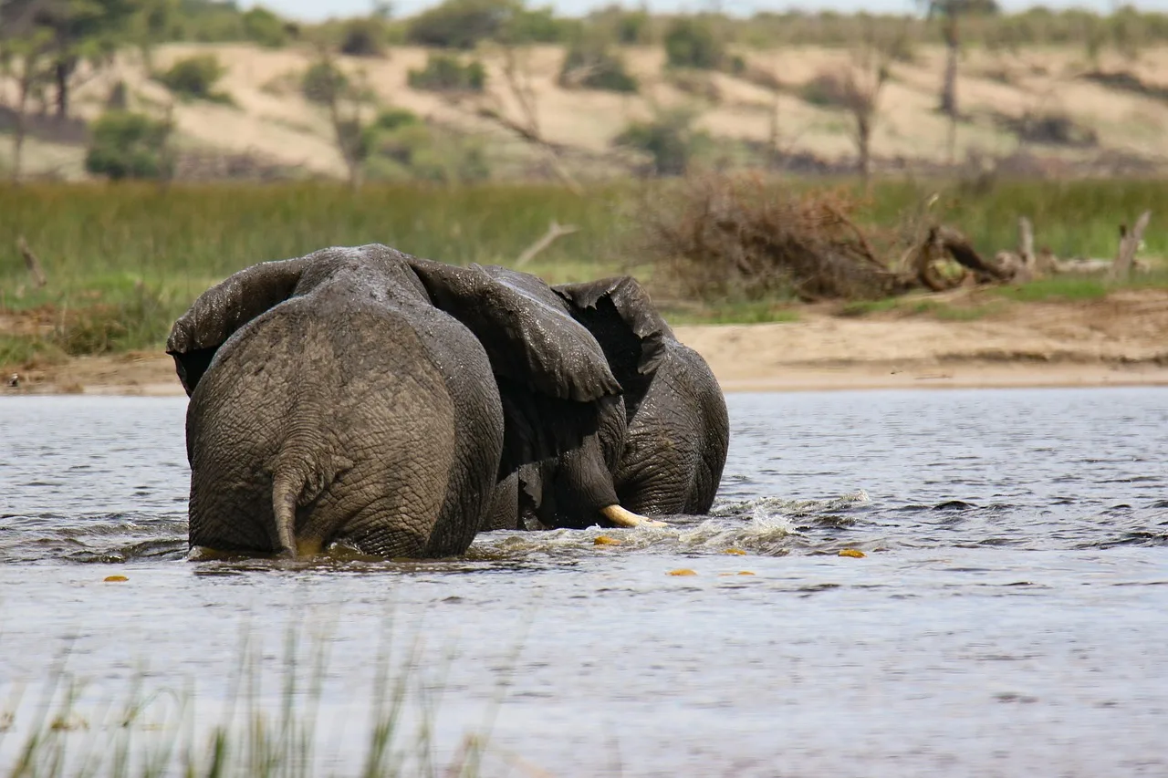 Botswana