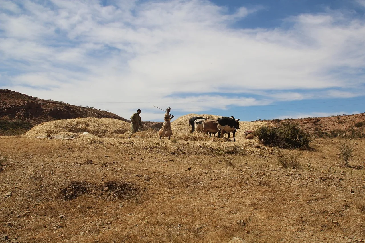 Eritrea