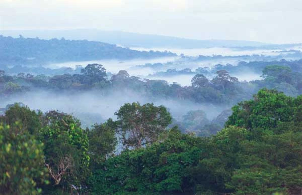 French Guiana